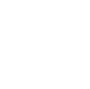Diamond Badge White (1)
